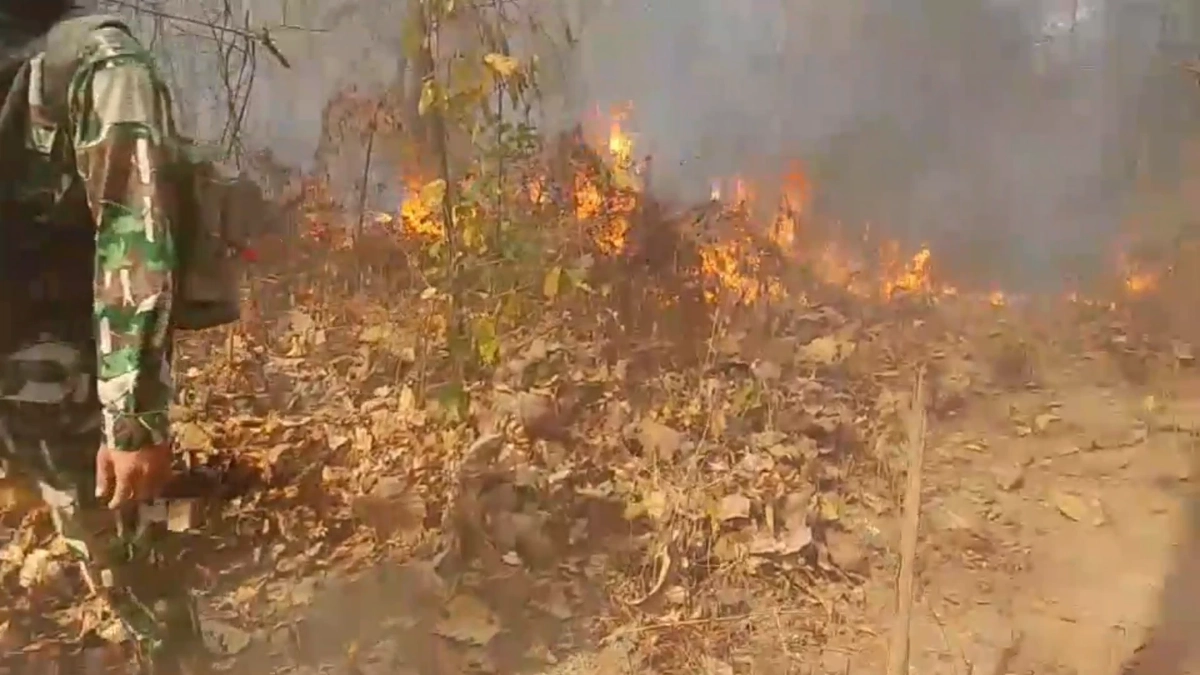 ลำปางอ่วม! สำลักฝุ่นขาวโพลนรับสงกรานต์ ไฟป่าลามไม่หยุด ดัน PM2.5 ทะลุโซนแดง