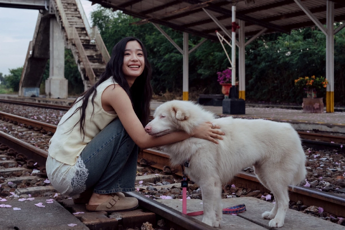 เรื่องย่อ โกฮัง..หัวใจโกโฮม ฉายแล้ววันนี้ (2 เม.ย. 69) ในโรงภาพยนตร์