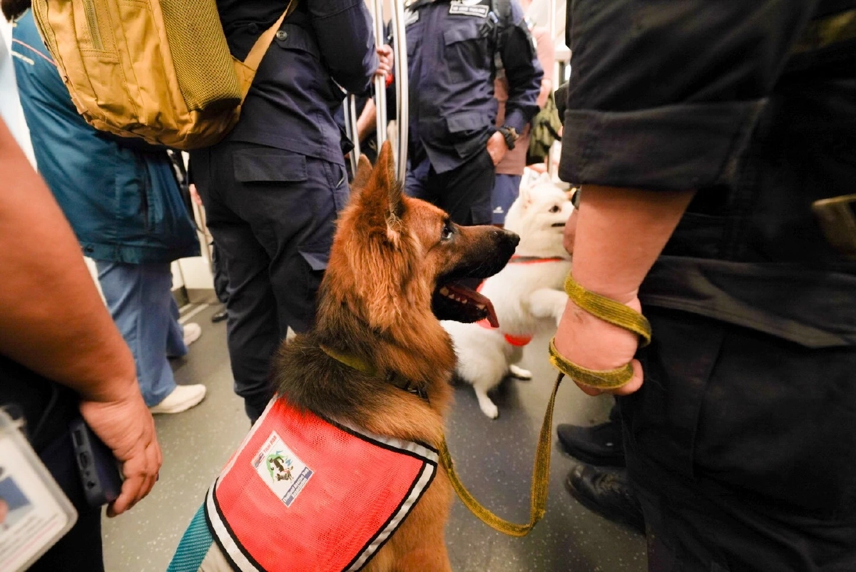 บีทีเอสเปิดสถานีต้อนรับทีม "K9 USAR Thailand" ฝึกซ้อมเดินทางไกล