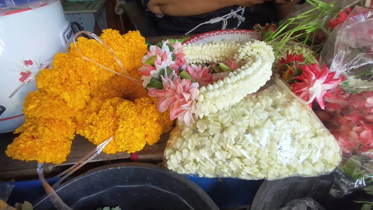 รับสงกรานต์! ดอกมะลิ ราคาพุ่ง กก.ละ 1,000 บาท พุ่งตามต้นทุนขนส่ง