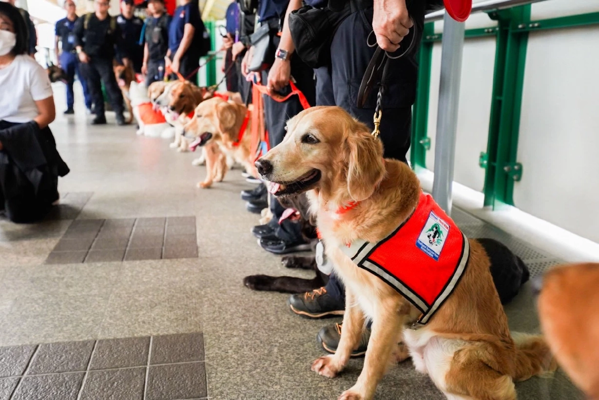 บีทีเอสเปิดสถานีต้อนรับทีม "K9 USAR Thailand" ฝึกซ้อมเดินทางไกล