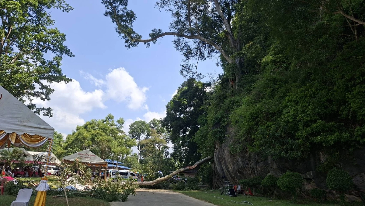 ช็อก! ต้นไม้ใหญ่ โค่นทับเต็นท์ พิธีงานบุญ ชาวบ้านดับ 2 เจ็บหลายราย