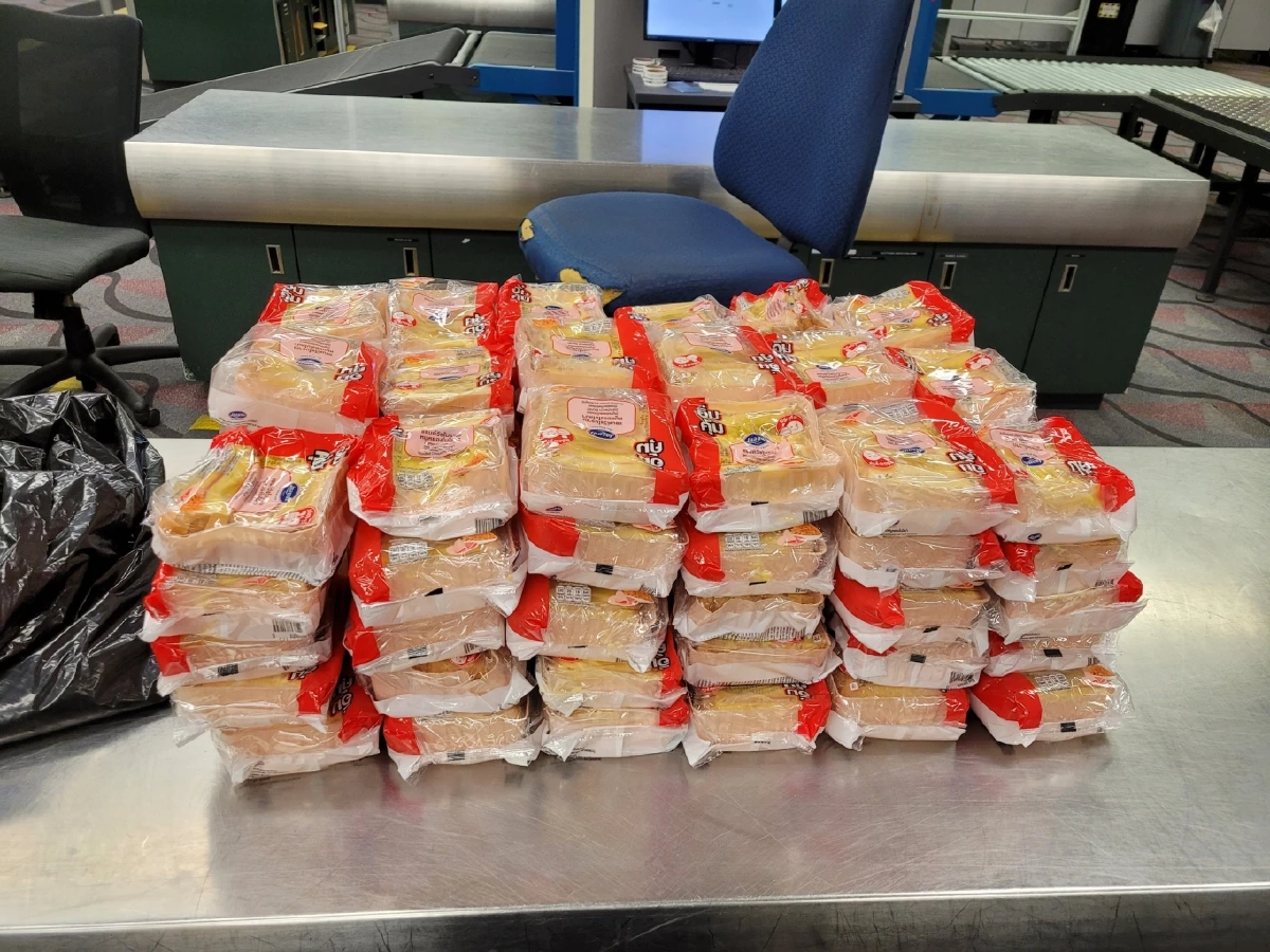 บีเกิล K9 สหรัฐฯ โชว์ผลงานยึดแซนด์วิชโบราณหมูหยองไก่หยองจากไทย