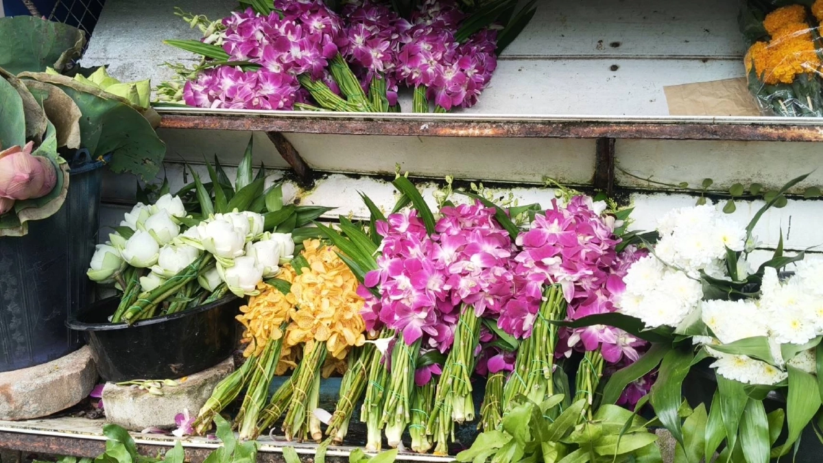 รับสงกรานต์! ดอกมะลิ ราคาพุ่ง กก.ละ 1,000 บาท พุ่งตามต้นทุนขนส่ง