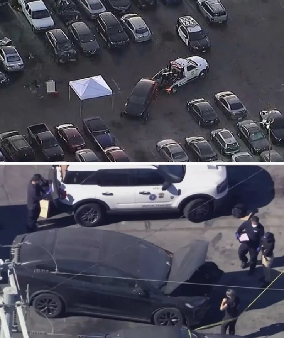 ศิลปินดาวรุ่ง “D4vd” ปฏิเสธฆ่X หั่นศพเด็ก 14 ปิดปากกลัวโดนแฉเรื่องกาม