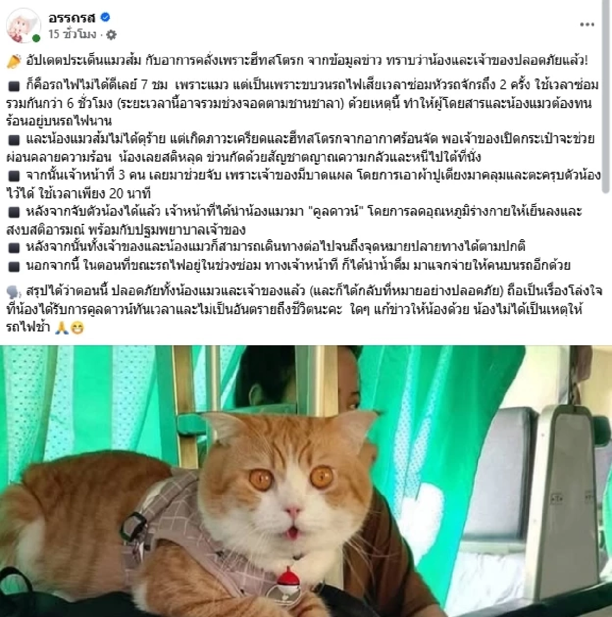 สรุปความจริง "แมวคลั่ง" ไม่ได้เป็นต้นเหตุ "รถไฟล่าช้า" ที่แท้เพราะสาเหตุนี้?