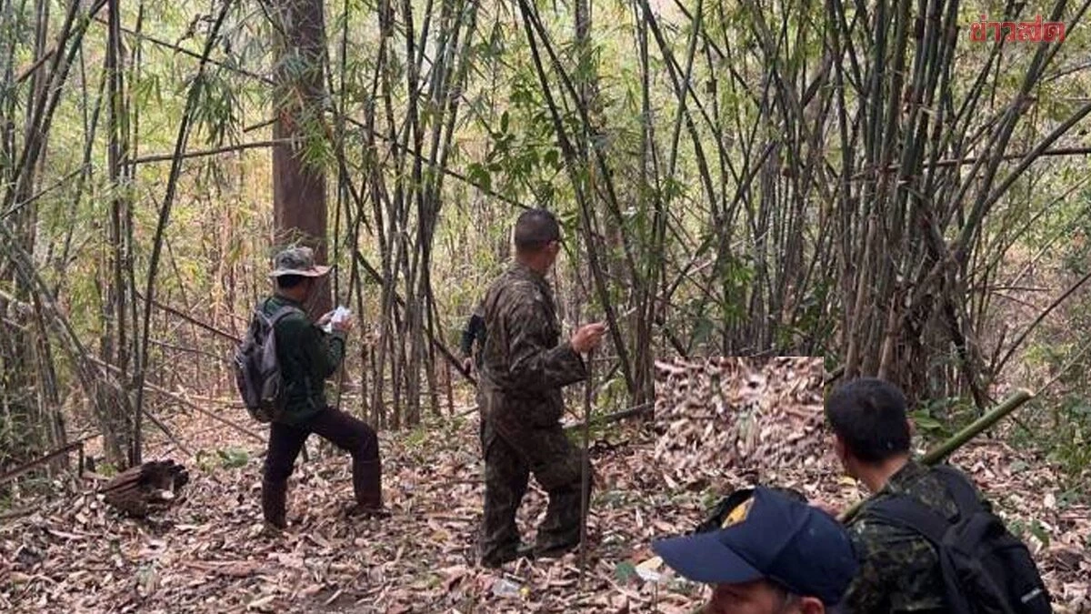 สุดเศร้า! เจ้าหน้าที่ลาดตระเวนดับไฟป่าพลัดหลงก่อนพบเสียชีวิต