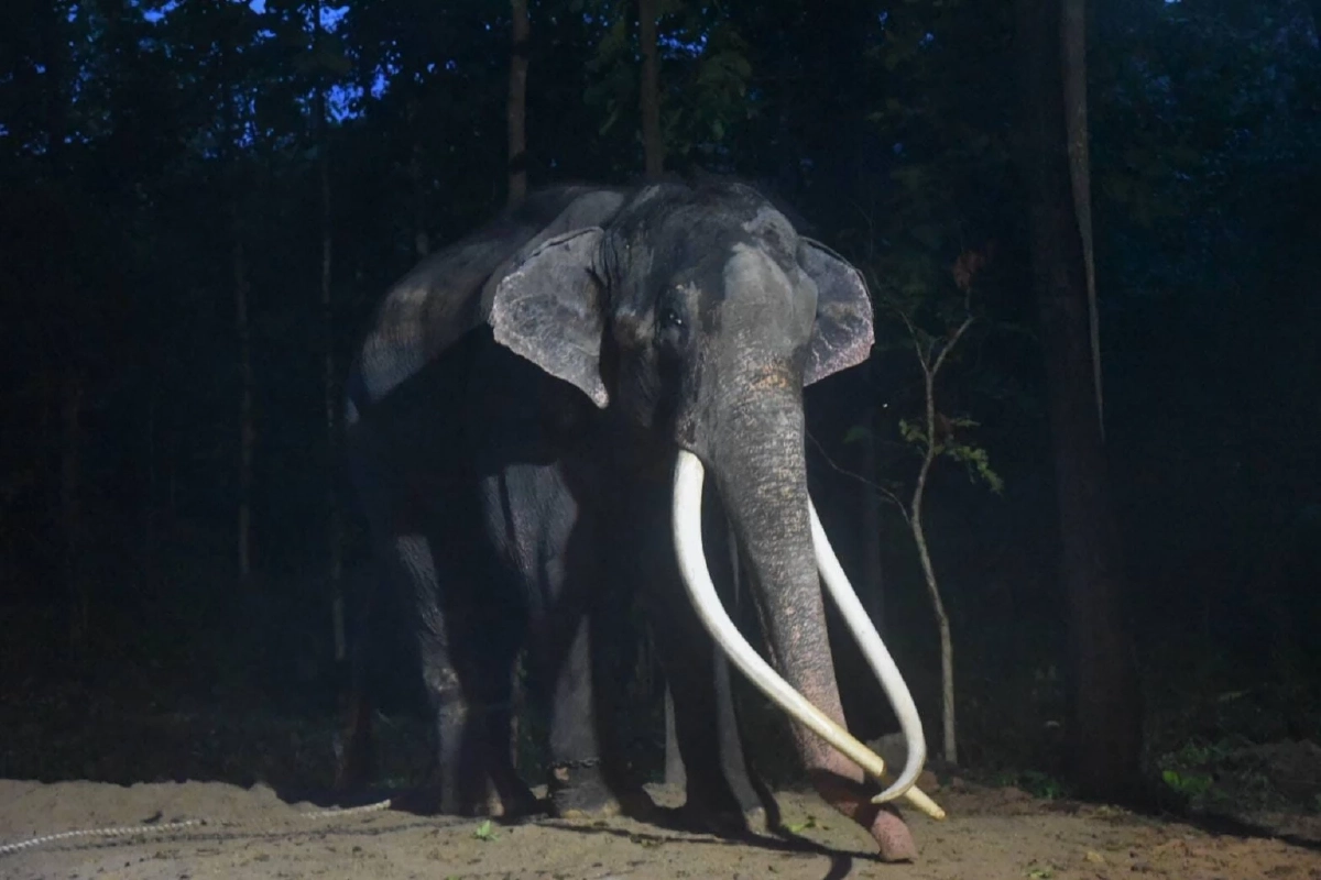 ภาพประกอบข่าว 