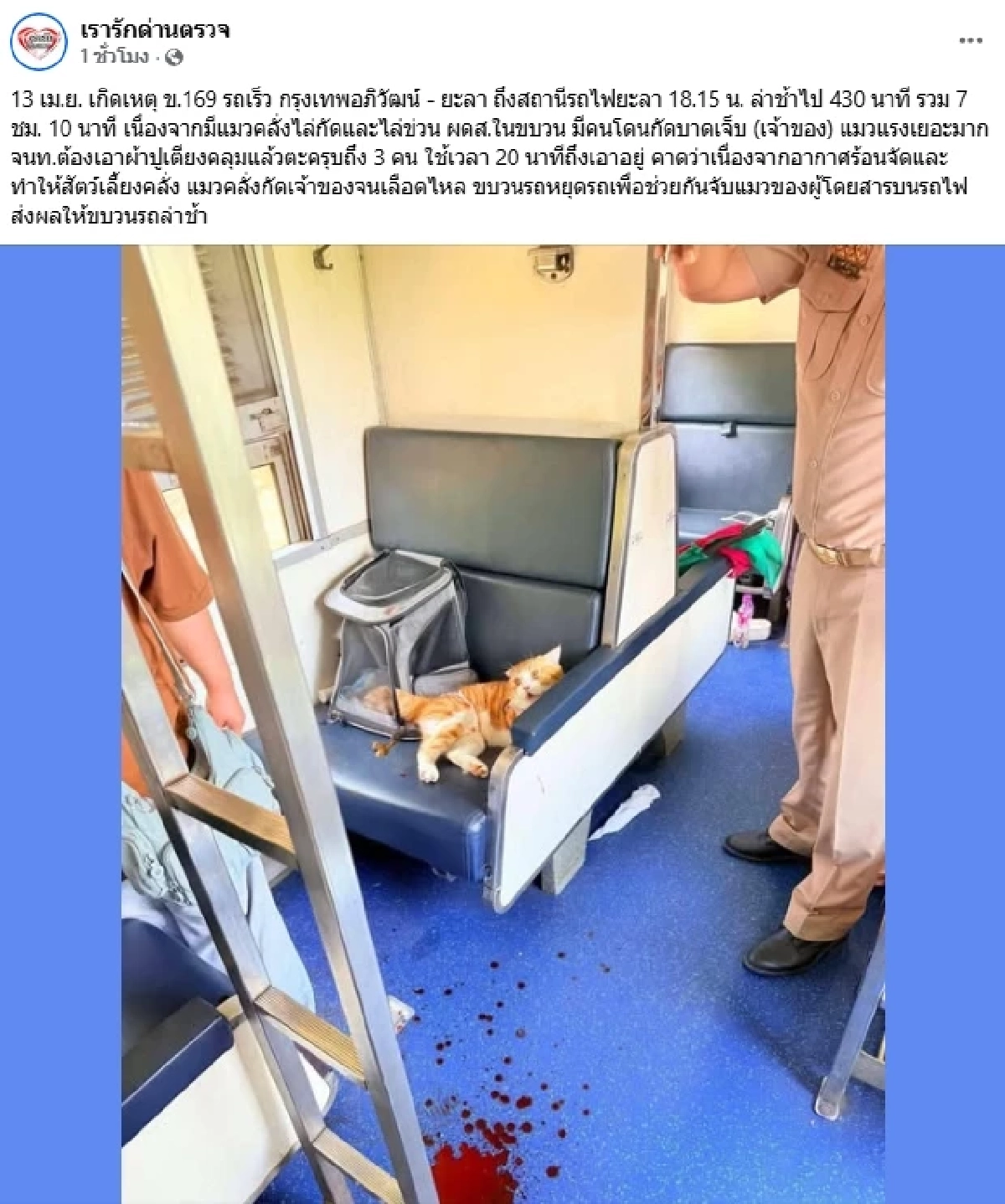 ระทึก! สาเหตุ แมวคลั่งไล่กัดคน บนขบวนรถไฟ เจ้าหน้าที่ 3 คน รุมตะครุบ