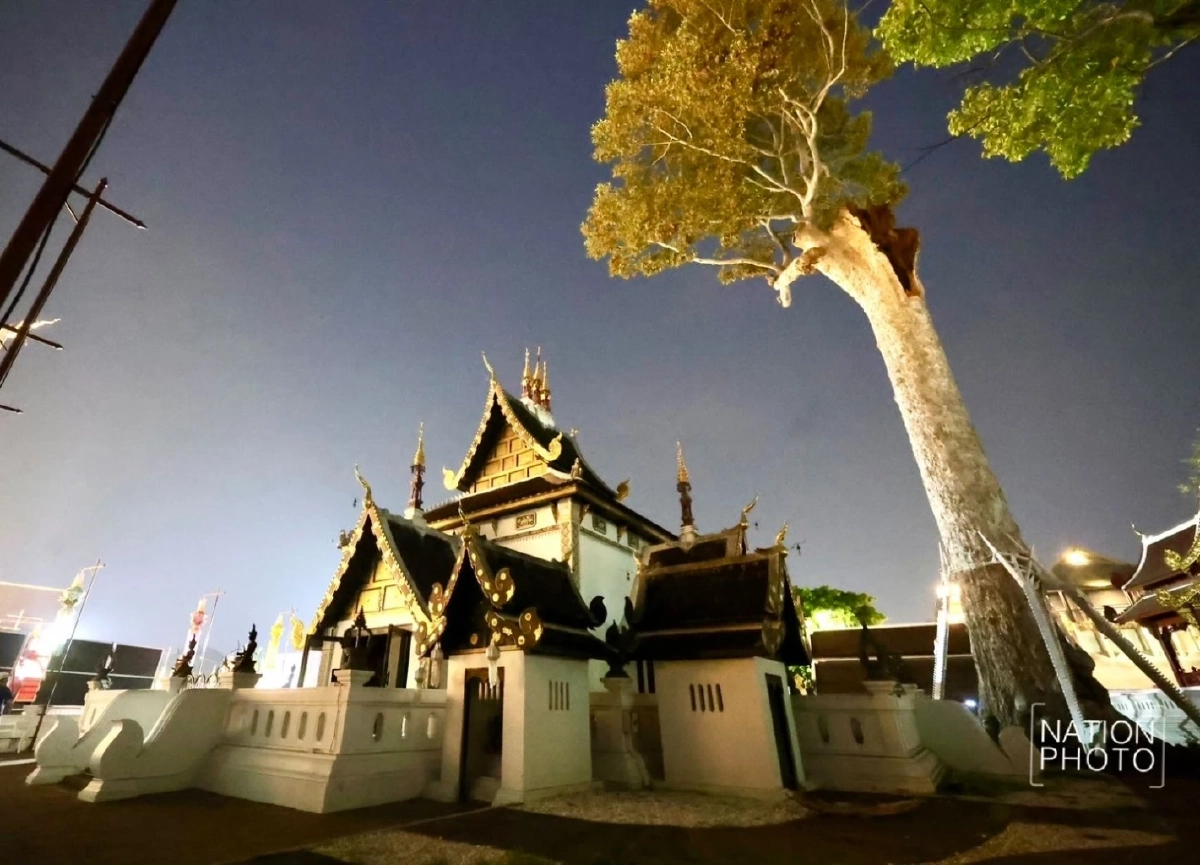 เจ้าอาวาสวัดเจดีย์หลวงฯ ยันกิ่งยางนาหักไม่ใช่ลางร้าย