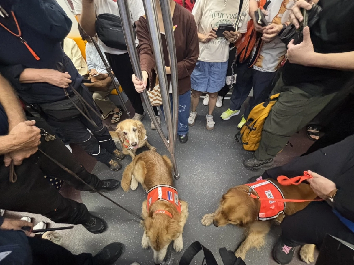 บีทีเอสเปิดสถานีต้อนรับทีม "K9 USAR Thailand" ฝึกซ้อมเดินทางไกล