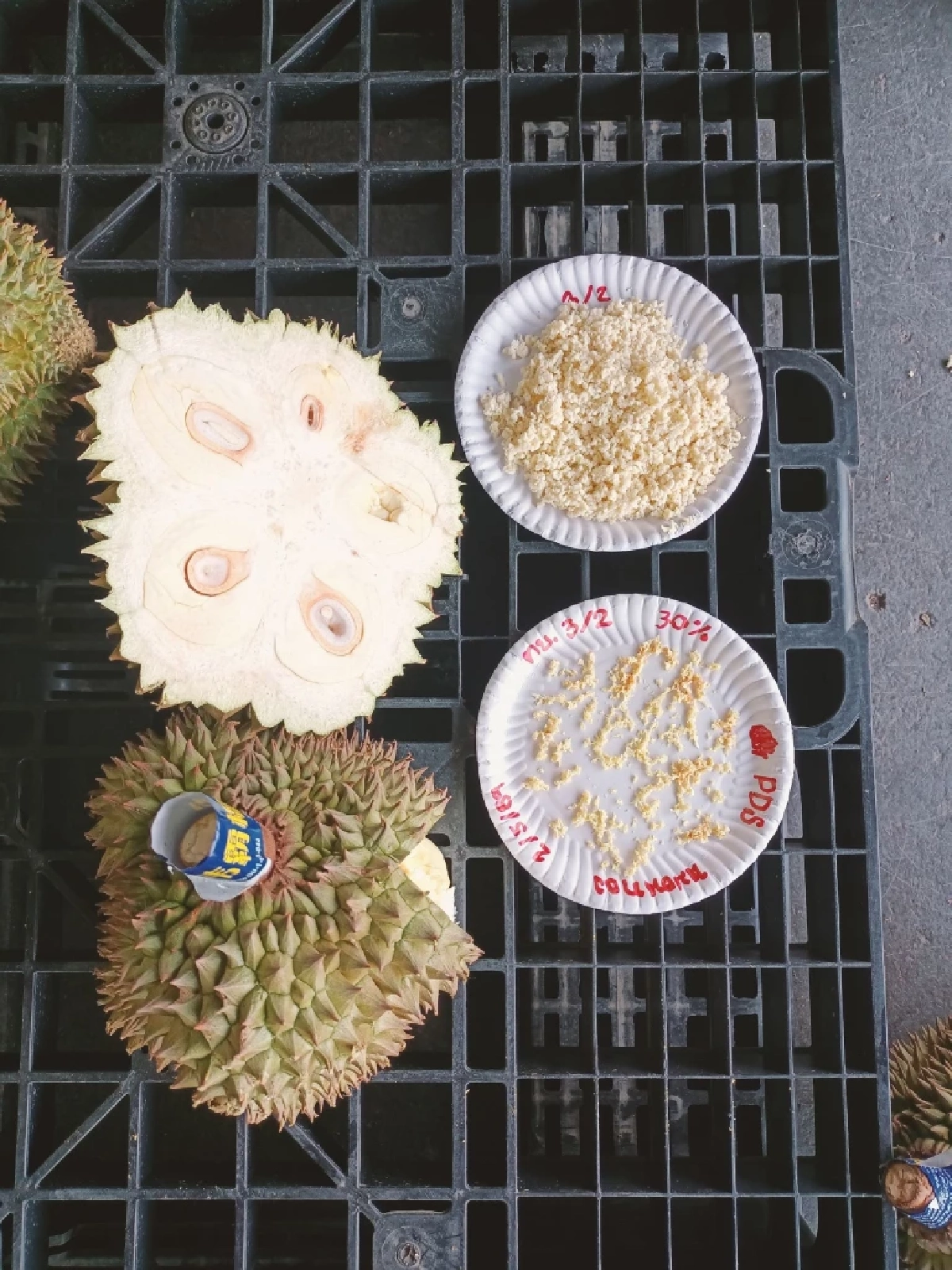 เชือดล้งจันทบุรี! ตรวจพบทุเรียนอ่อน เตรียมเนียนส่งออกนอกกว่า 1.5 ตัน