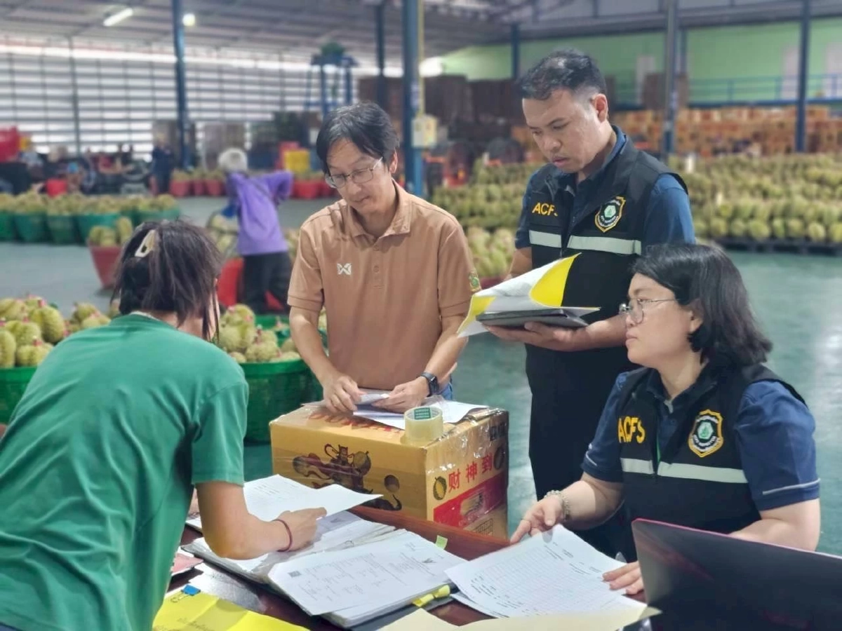 สอบเข้ม! "ทุเรียนลม" หลุดไปตลาดจีน สั่งฟันเด็ดขาด หากพบล้งสวมสิทธิ์