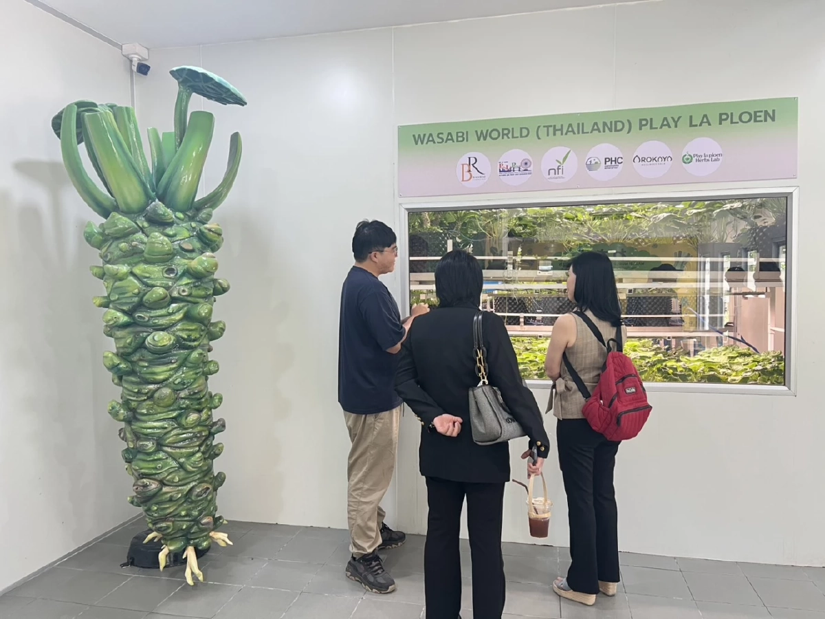 บุกบุรีรัมย์  ‘วาซาบิ เวิลด์’ เปิดมิติใหม่ท่องเที่ยวเชิงเกษตร