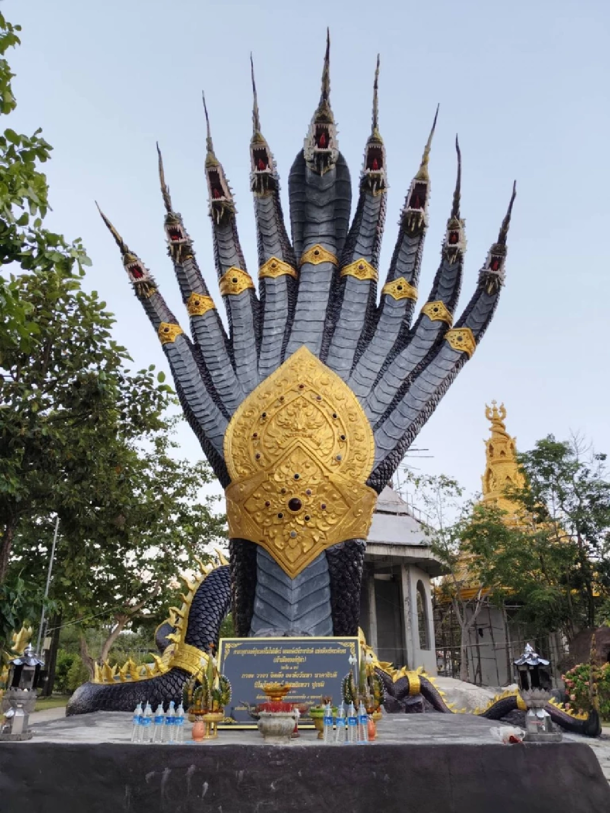 ขนลุก! พบ ‘เศียรนาคา’ กลางป่าโขงเจียม  ‘ลิลลี่ เหงียน’ รำแก้บนสมใจ