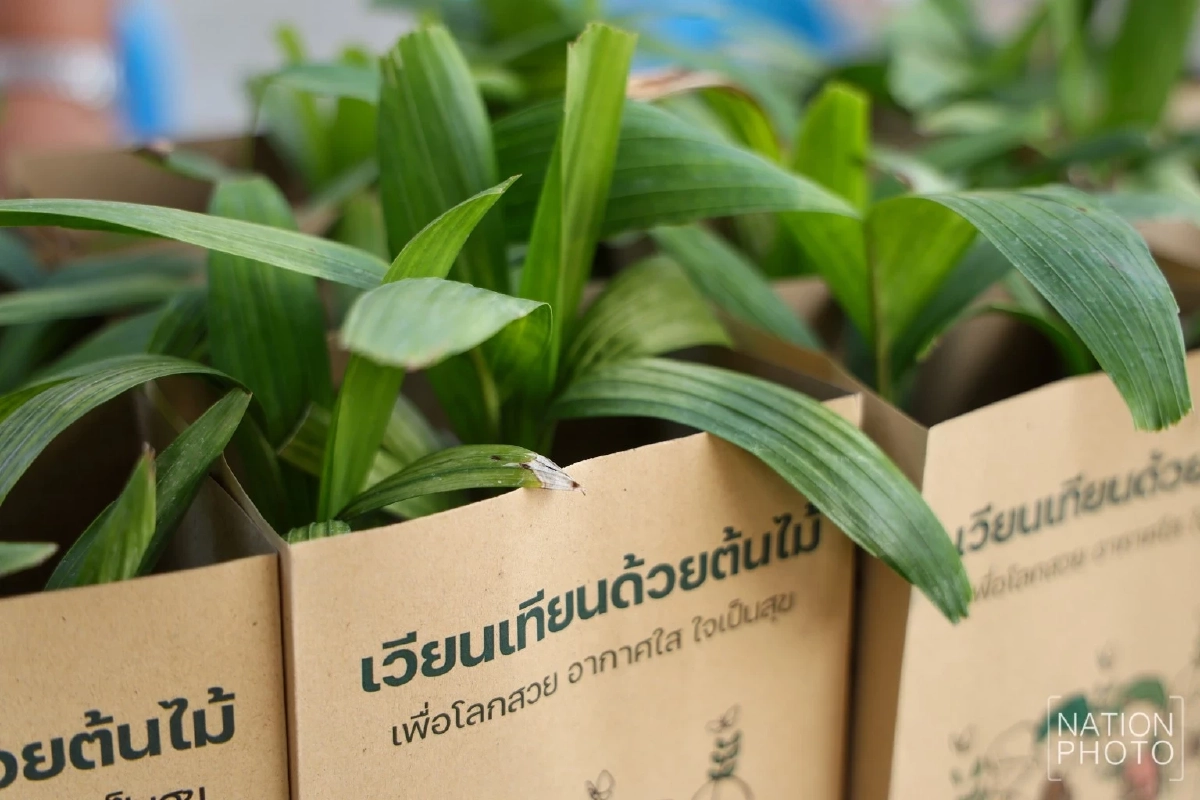 เปิดพิกัด ‘เวียนเทียนต้นไม้’ 100 วัดทั่วกรุง เช็กเลยมีวัดไหนบ้าง?