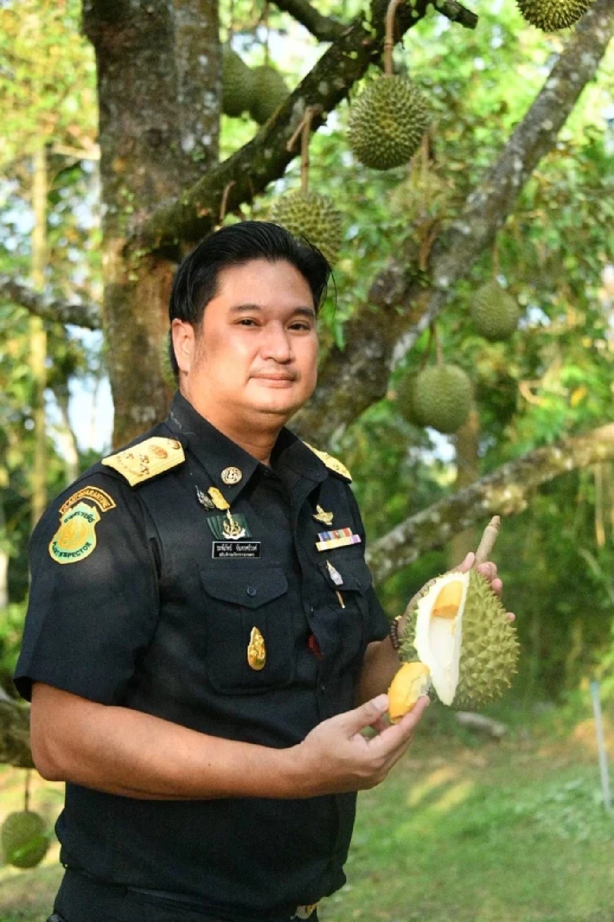 สอบเข้ม! "ทุเรียนลม" หลุดไปตลาดจีน สั่งฟันเด็ดขาด หากพบล้งสวมสิทธิ์