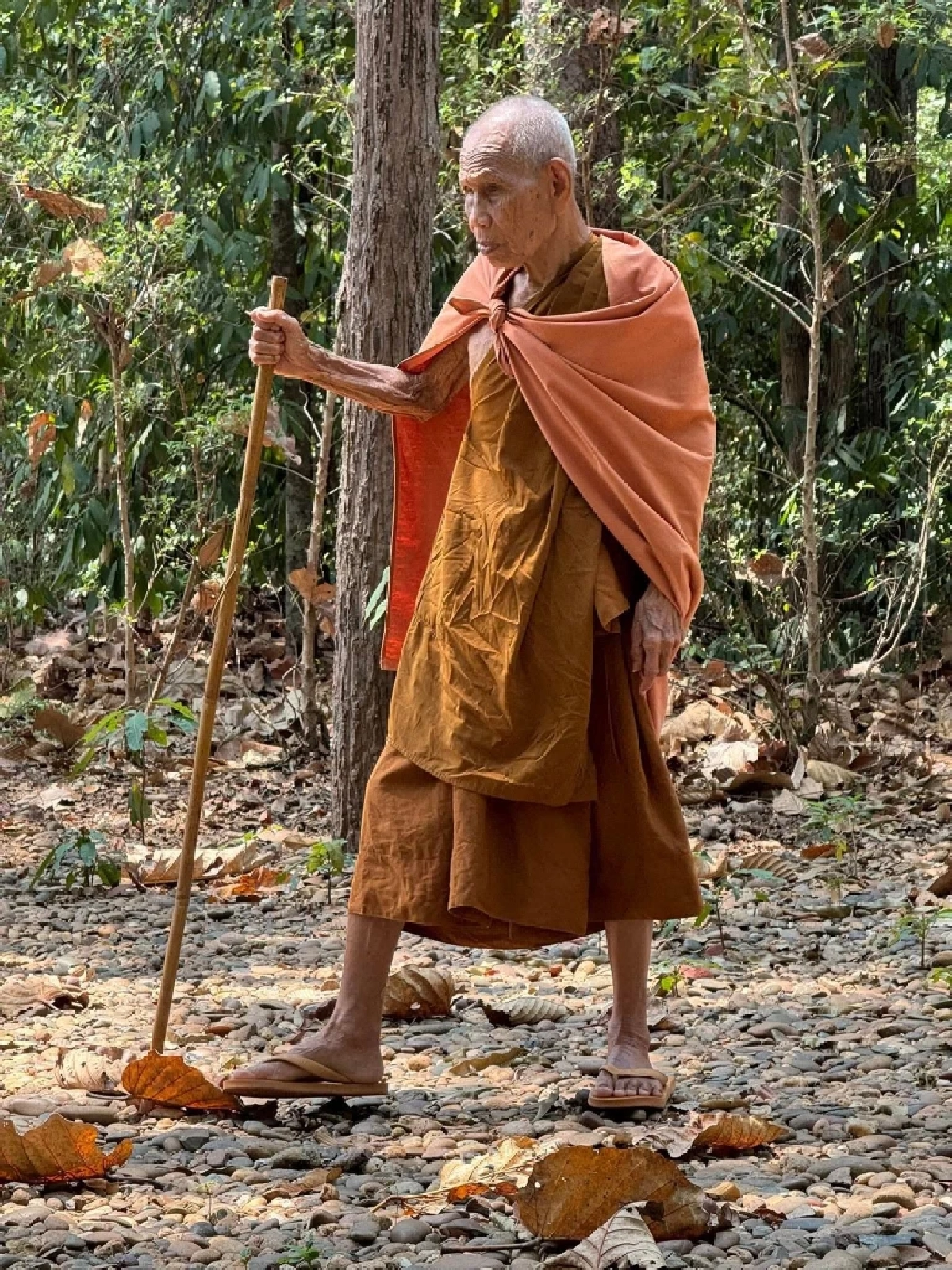 ​สิ้นเกจิดัง! ประวัติ "หลวงปู่บุญมา" วัดป่าสีห์พนม จากพระสายป่าสู่เกจิผู้เปี่ยมเมตตา