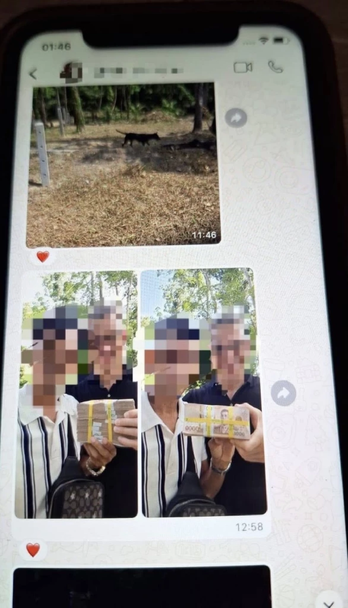 ภาพจาก : เพจ เฉลิมพงศ์ แสงดี - Chalermpong Saengdee
