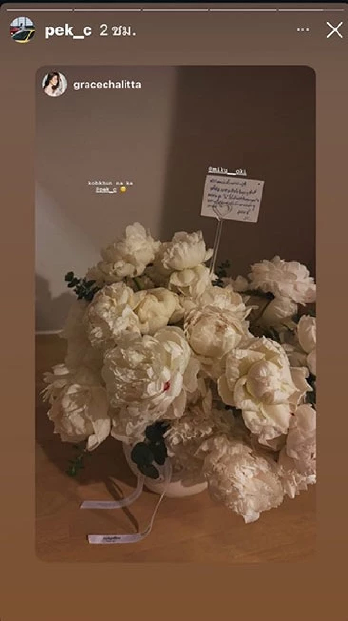 ‘เป๊ก เศรณี’ รุกจีบ ‘เกรซ ชลิตา’? สลับรีสตอรี่หวาน-ส่งดอกไม้ยินดี