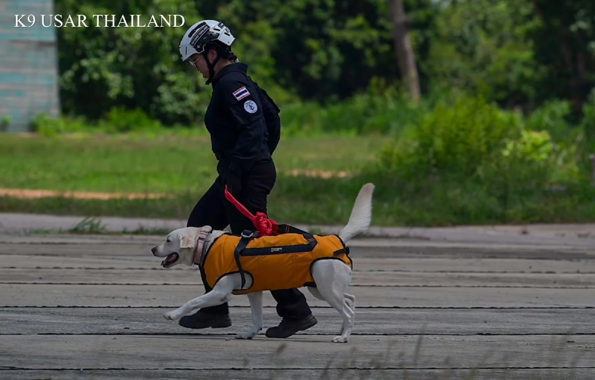 K9 USAR THAILAND จับมือ ทหารพัฒนา ฝึกร่วม "โดรน" ลุยพื้นที่เข้าถึงยาก