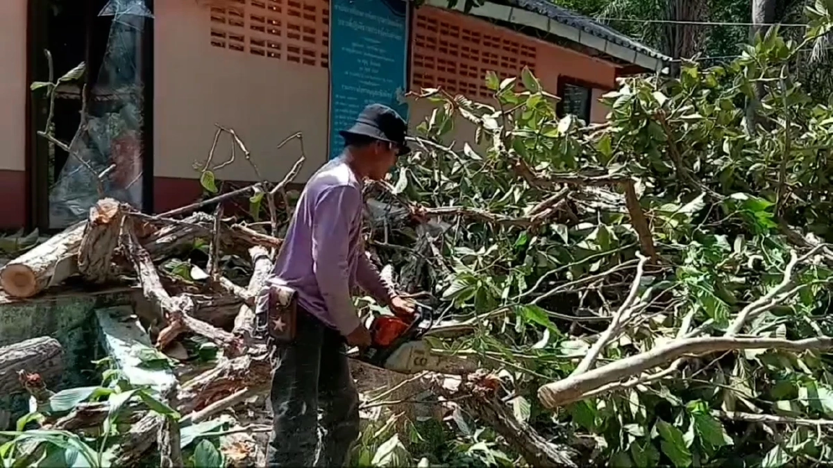 ชาวบ้านผวาอาเพศ! กิ่งสะแบงยักษ์ถล่มทับโบสถ์เขมรเก่า Site-B ลือหึ่งลางร้าย