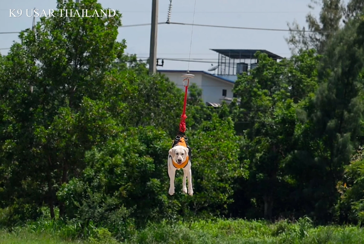 K9 USAR THAILAND จับมือ ทหารพัฒนา ฝึกร่วม "โดรน" ลุยพื้นที่เข้าถึงยาก
