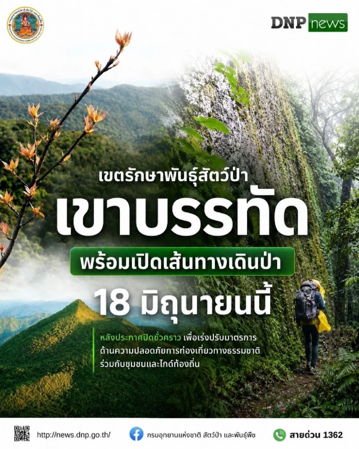 "เขาบรรทัด" พร้อมกลับมาเปิดเส้นทางเดินป่า​ 18 มิถุนายน นี้