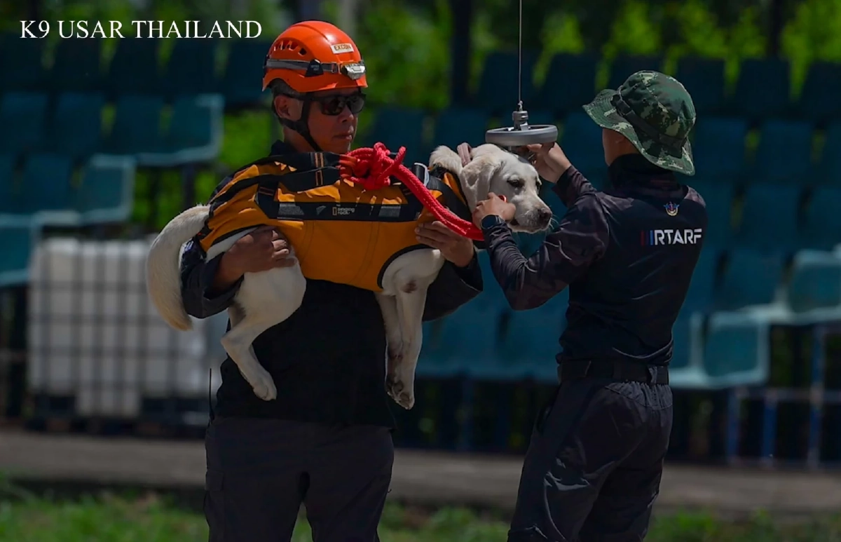 K9 USAR THAILAND จับมือ ทหารพัฒนา ฝึกร่วม "โดรน" ลุยพื้นที่เข้าถึงยาก