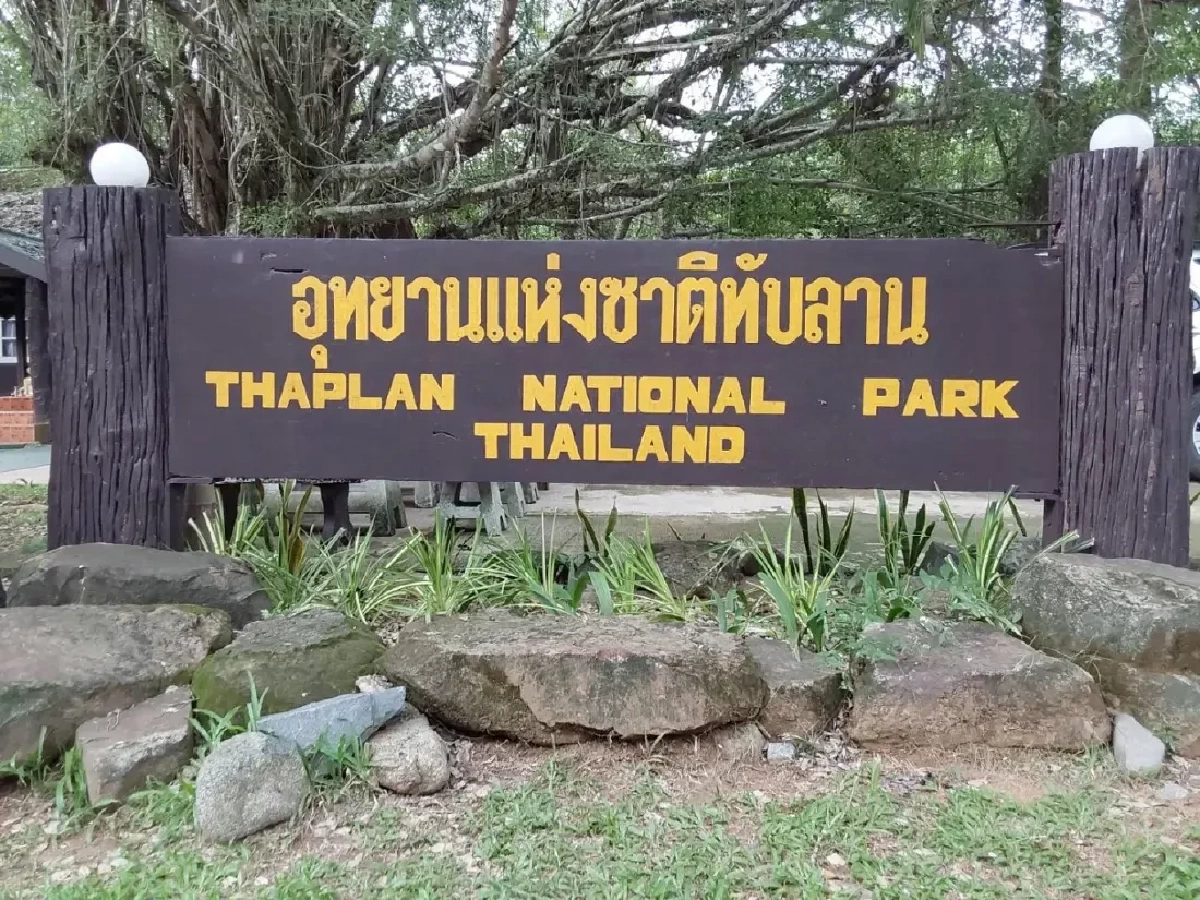 เช็กบิลทุนฮุบป่า! รัฐบาลสั่งผ่าแผนเด็ด "ทับลาน" ผ่าพิสูจน์สิทธิรายแปลง