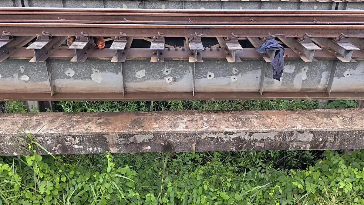 รถไฟขยี้ร่างแหลก เหลือแค่ "ขา-เศษสมอง" ตร.เร่งงมหาชิ้นส่วนในป่ารก