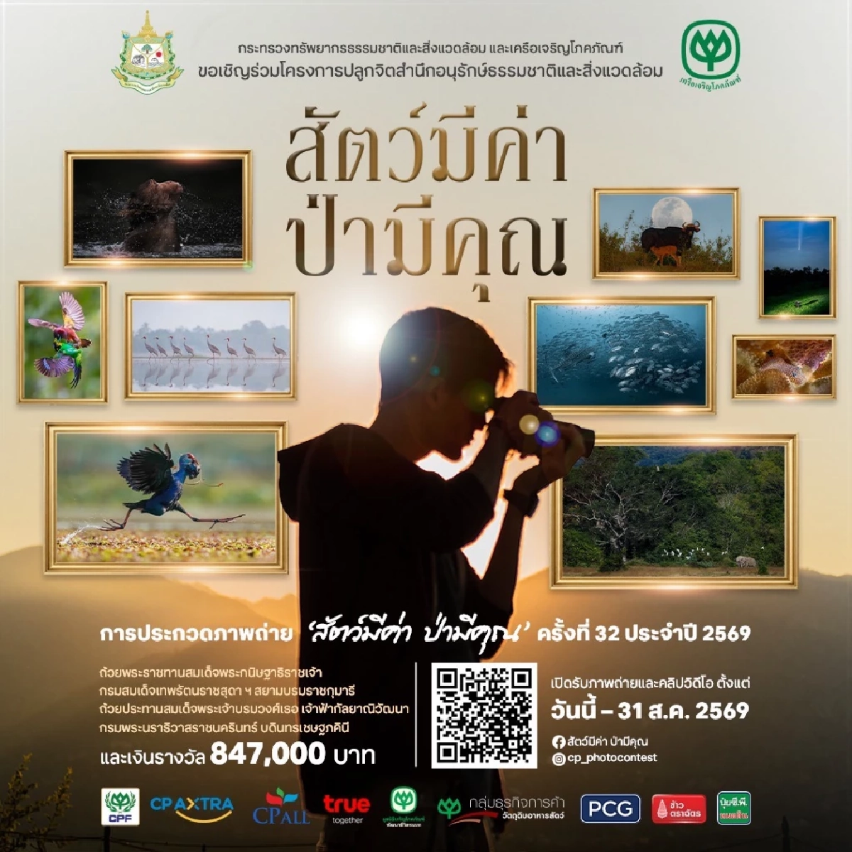 สานต่อปีที่ 32! ประกวดภาพถ่าย “สัตว์มีค่า ป่ามีคุณ” 2569 ชิงถ้วยพระราชทานฯ-เงินแสน