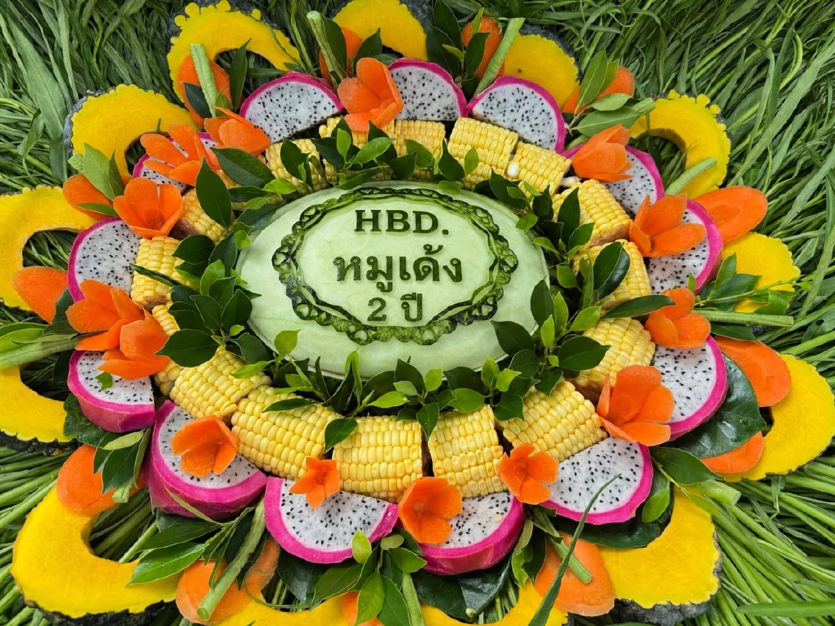สวนสัตว์เปิดเขาเขียว ชวนฉลองวันเกิด 2 ปี “หมูเด้ง HAPPY เด้ง DAY”