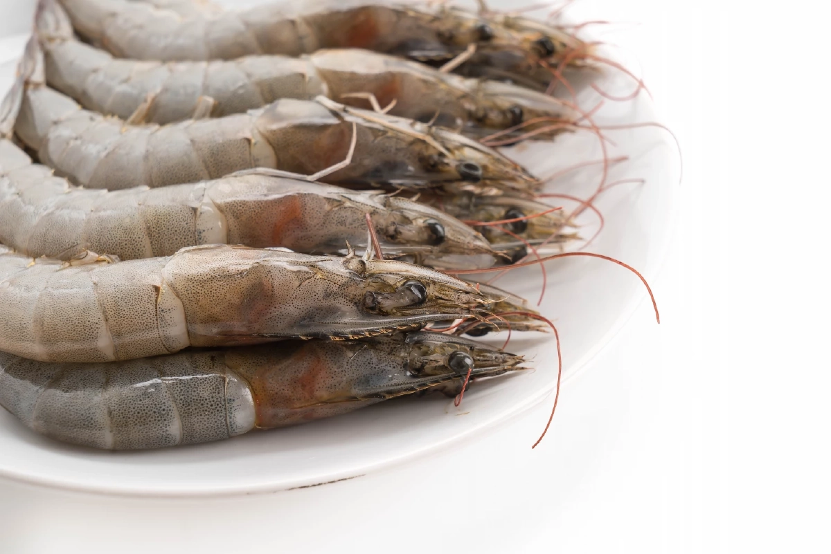 ข่าวดี! นายกฯ เผย กุ้งไทย คาดส่งออกไปมาเลเซีย ได้ภายใน 30 วัน
