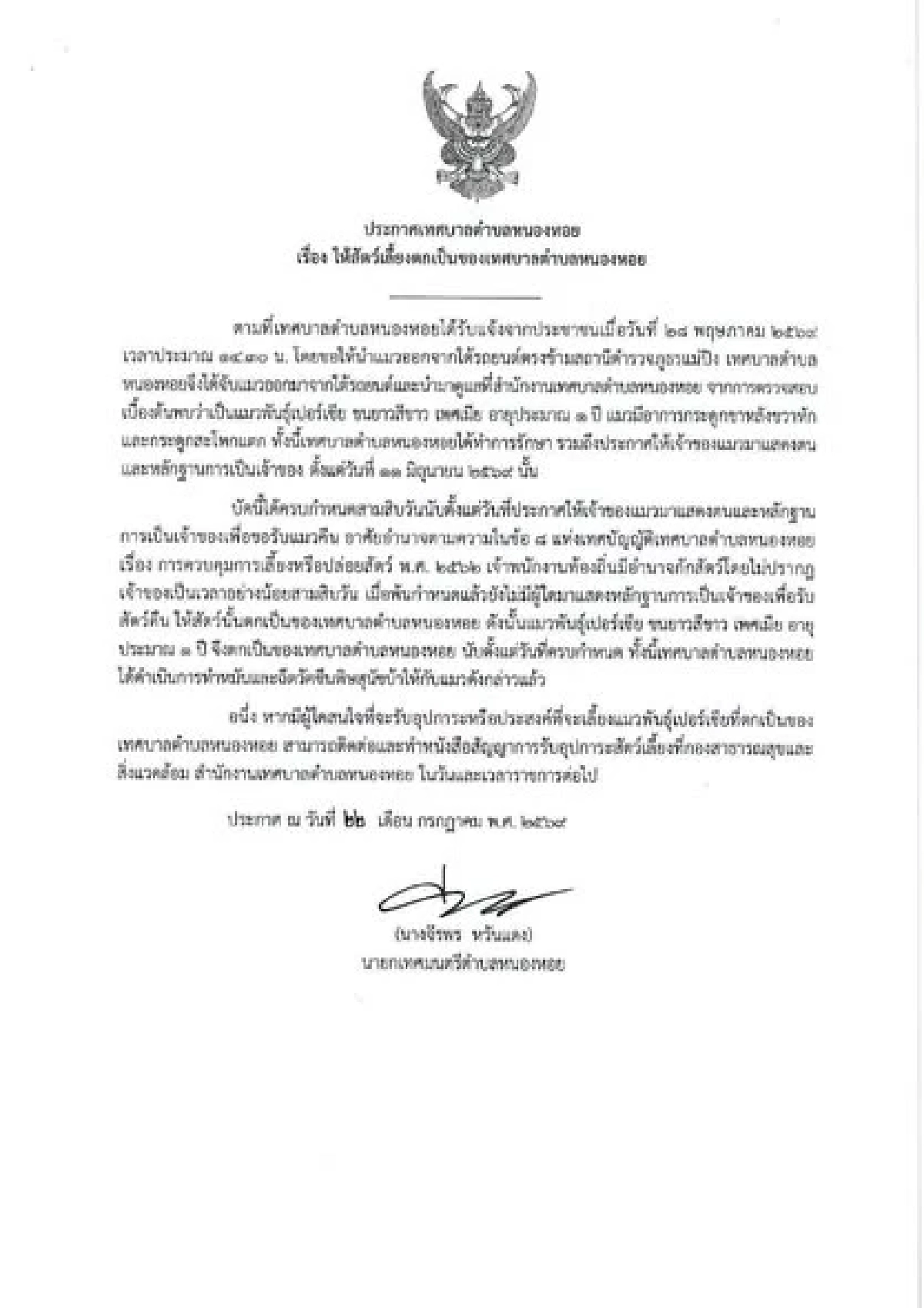 เทศบาลตำบลหนองหอย จ.เชียงใหม่ เปิดรับผู้ประสงค์อุปการะแมว