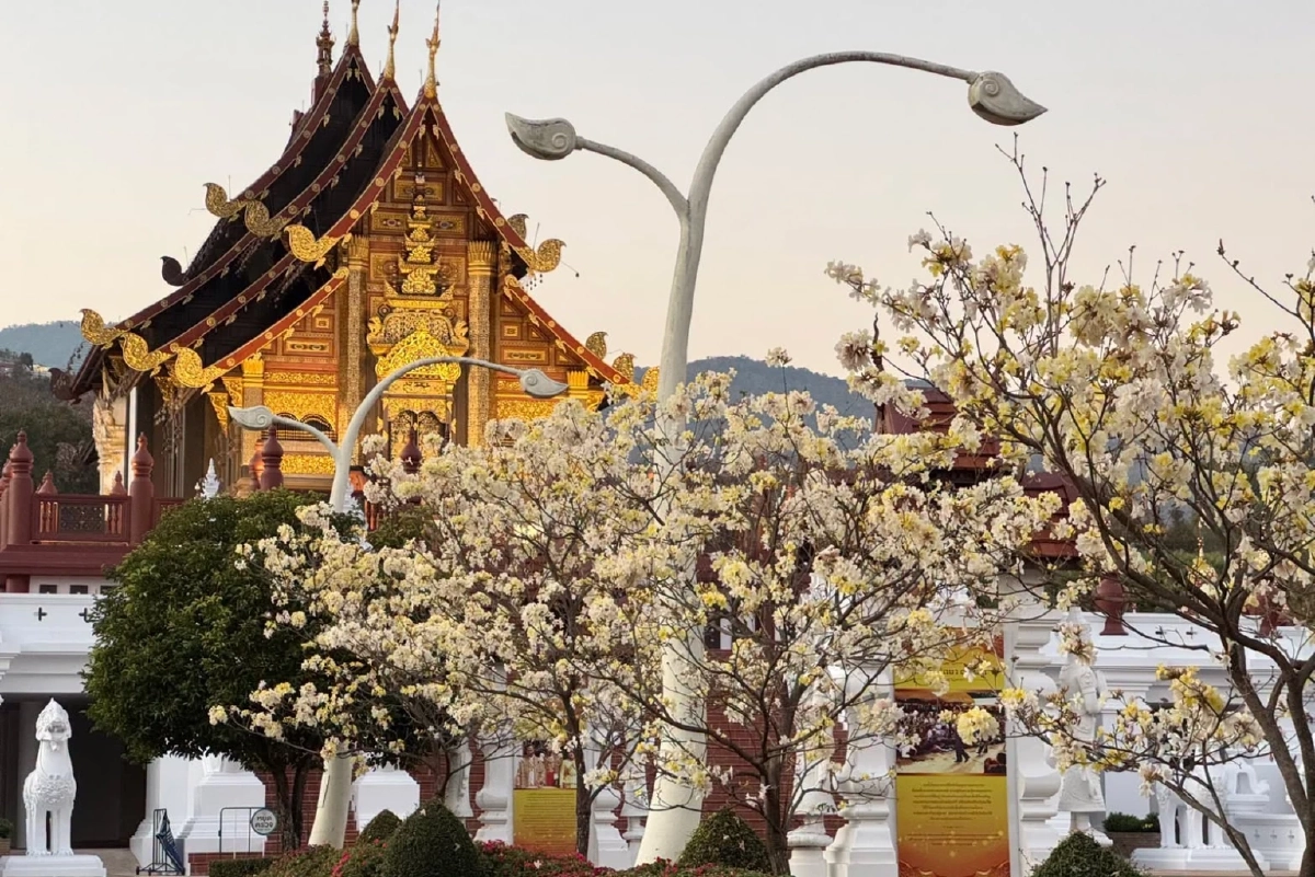 'ในหลวง' พระราชทานนามพรรณไม้ 'พิมลลักษณ์' เฉลิมพระเกียรติ 'พระบรมราชินี'