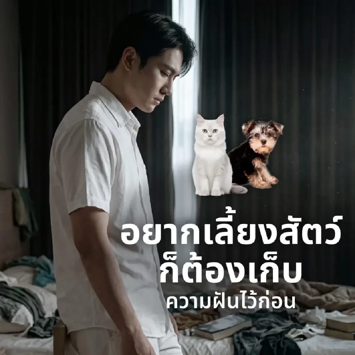 บ้านชาวไทย โอกาสสำหรับคนอยากเริ่มมีที่อยู่อาศัยเป็นของตัวเอง