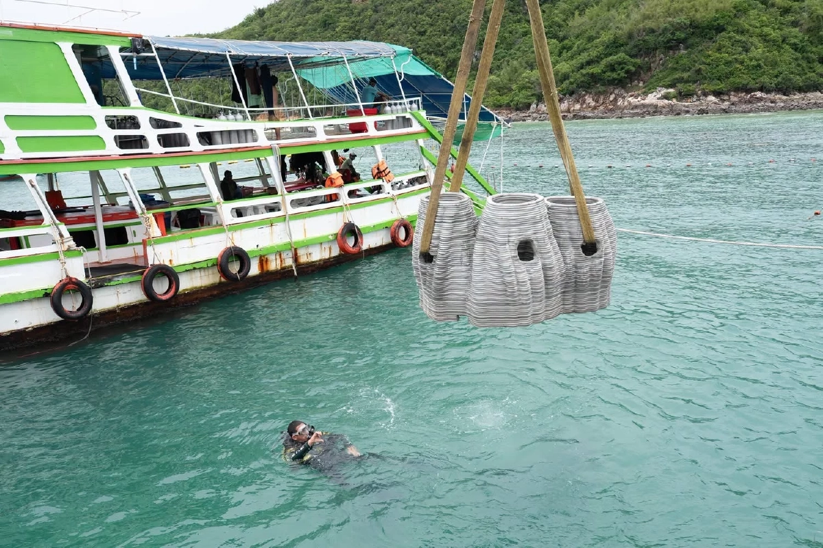 เปลี่ยน ‘เกาะล้าน’ ให้เป็นบ้านปะการังสุดล้ำ ด้วยเทคโนโลยี 3D Printing ฟื้นฟูทะเลไทย