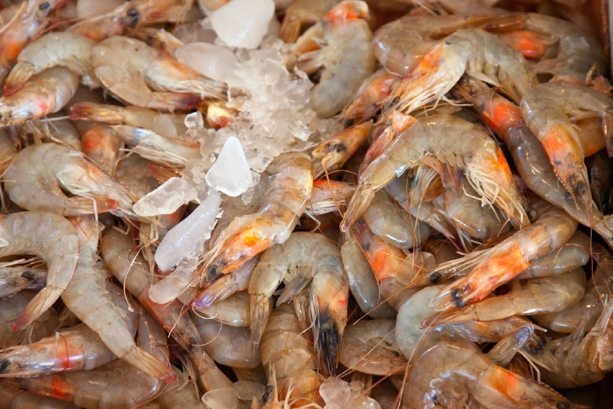 ข่าวดี! นายกฯ เผย กุ้งไทย คาดส่งออกไปมาเลเซีย ได้ภายใน 30 วัน