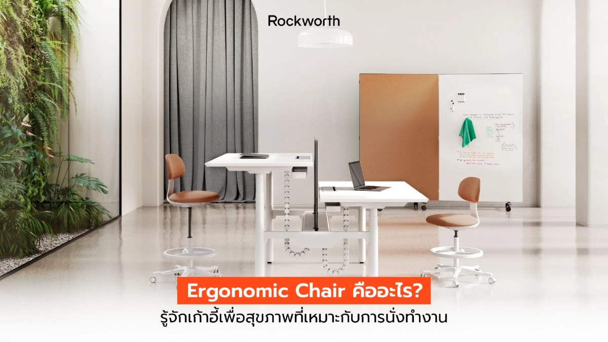 Ergonomic Chair คืออะไร? รู้จัก เก้าอี้เพื่อสุขภาพ ที่เหมาะกับการนั่งทำงาน