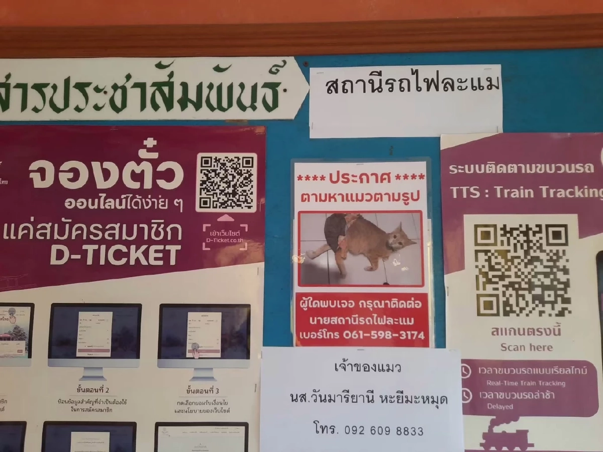 การรถไฟฯ เร่งปูพรมค้นหา “น้องสีส้ม” แมวพิการขาหลังทั้งสองข้าง สูญหายระหว่างทาง