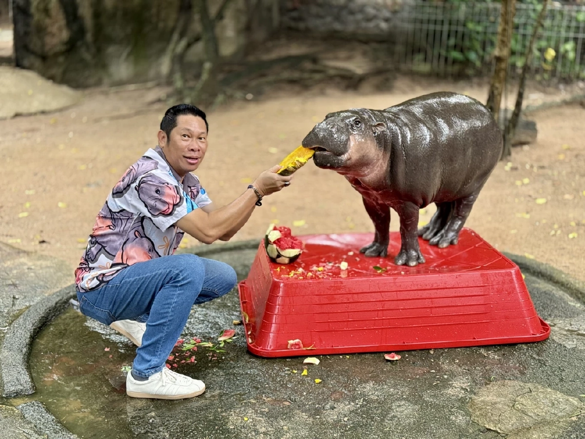 "หมูเด้ง" ฟันธง!  ทำนายผลนัดชิงโลก "สเปน-อาร์เจนตินา" แม่นไม่แม่นว่ากันอีกที!