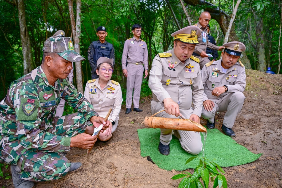 บวงสรวงตัด "ไม้จันทน์หอม" กุยบุรี 20 ต้น ใช้ในงานพระราชพิธีพระศพ