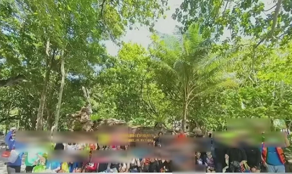 อธิบดีกรมอุทยานฯ แจงดราม่า "วีระ" ฟาดที่พักสิมิลันฯเลวทราม ตั้งสอบ หน.อช. ปล่อยคณะพักแรม