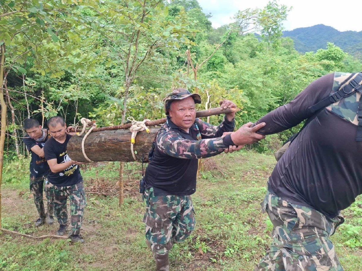 ทส. รวมใจภักดิ์ ผนึกกำลังแปรรูป "ไม้จันทน์หอม" ป่ากุยบุรี ส่งมอบช่างสิบหมู่