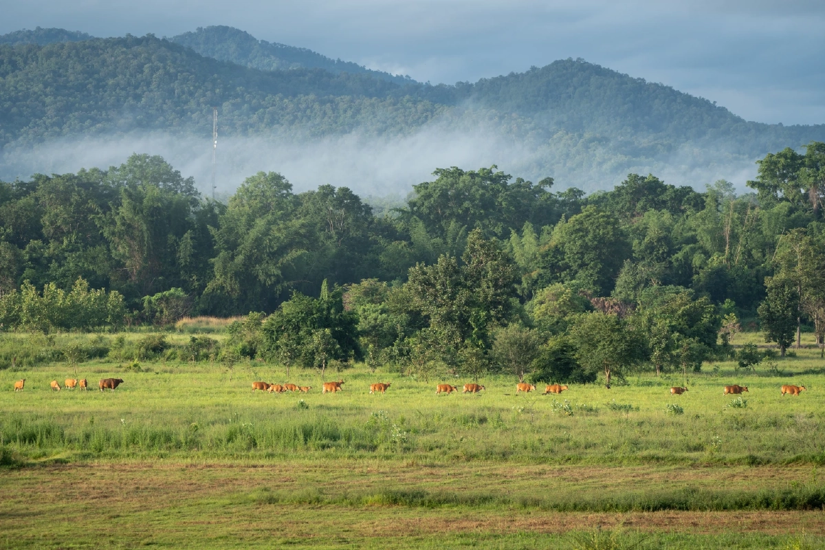 อุทัยธานี เมืองรองระดับโลกที่ Green Destinations ยกให้เป็น 100 เมืองสีเขียวที่ต้องมาสักครั้ง