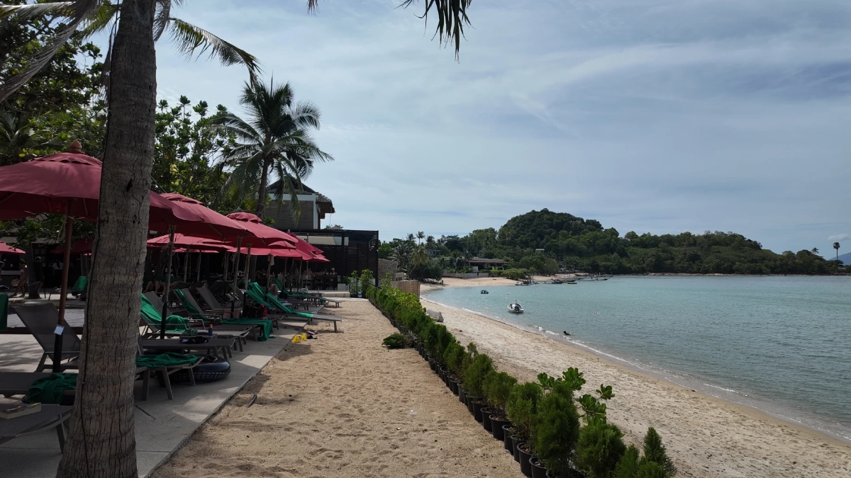 เช็กอินสมุย! เปิดพิกัดโรงแรม ติดชายหาด วิวหลักล้าน ตอบโจทย์สายชิล สายเซฟงบ