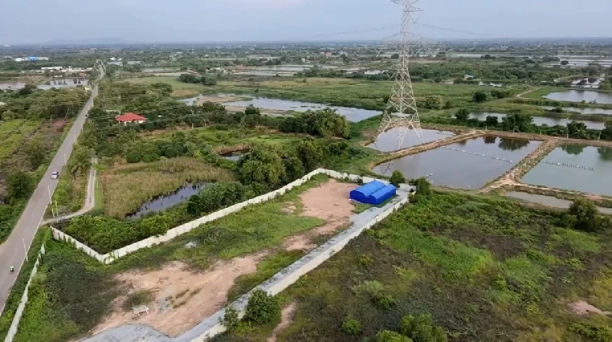 ฟันสุสานยิวเถื่อนแปดริ้ว! "พลพีร์" สั่งกวาดล้างนอมินีเทา 1.4 หมื่นแห่งใน 15 วัน