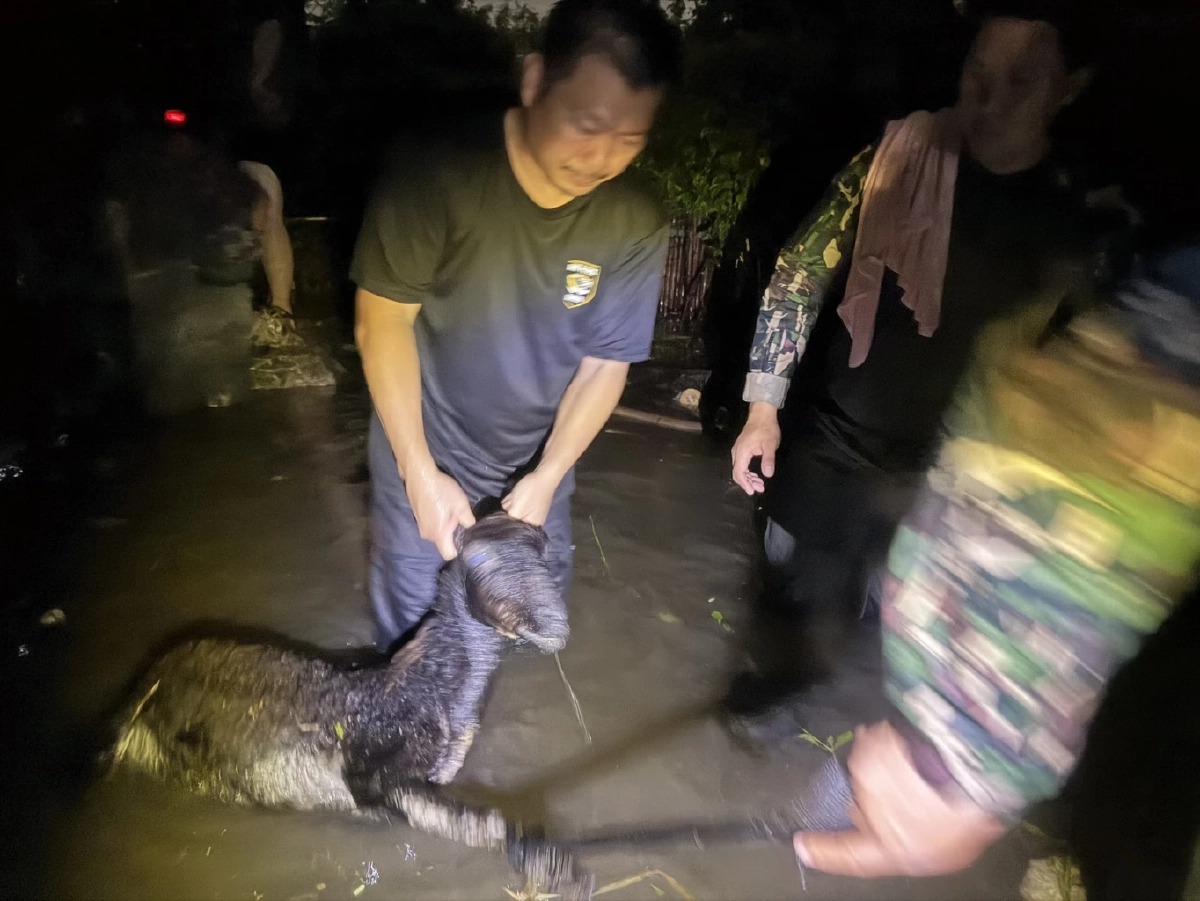 "กวาง" ยืนแช่น้ำจนสิ้นใจ สังเวย 6 "สุชาติ" สั่งเร่งอพยพรอดหวุดหวิด 10 ชีวิต
