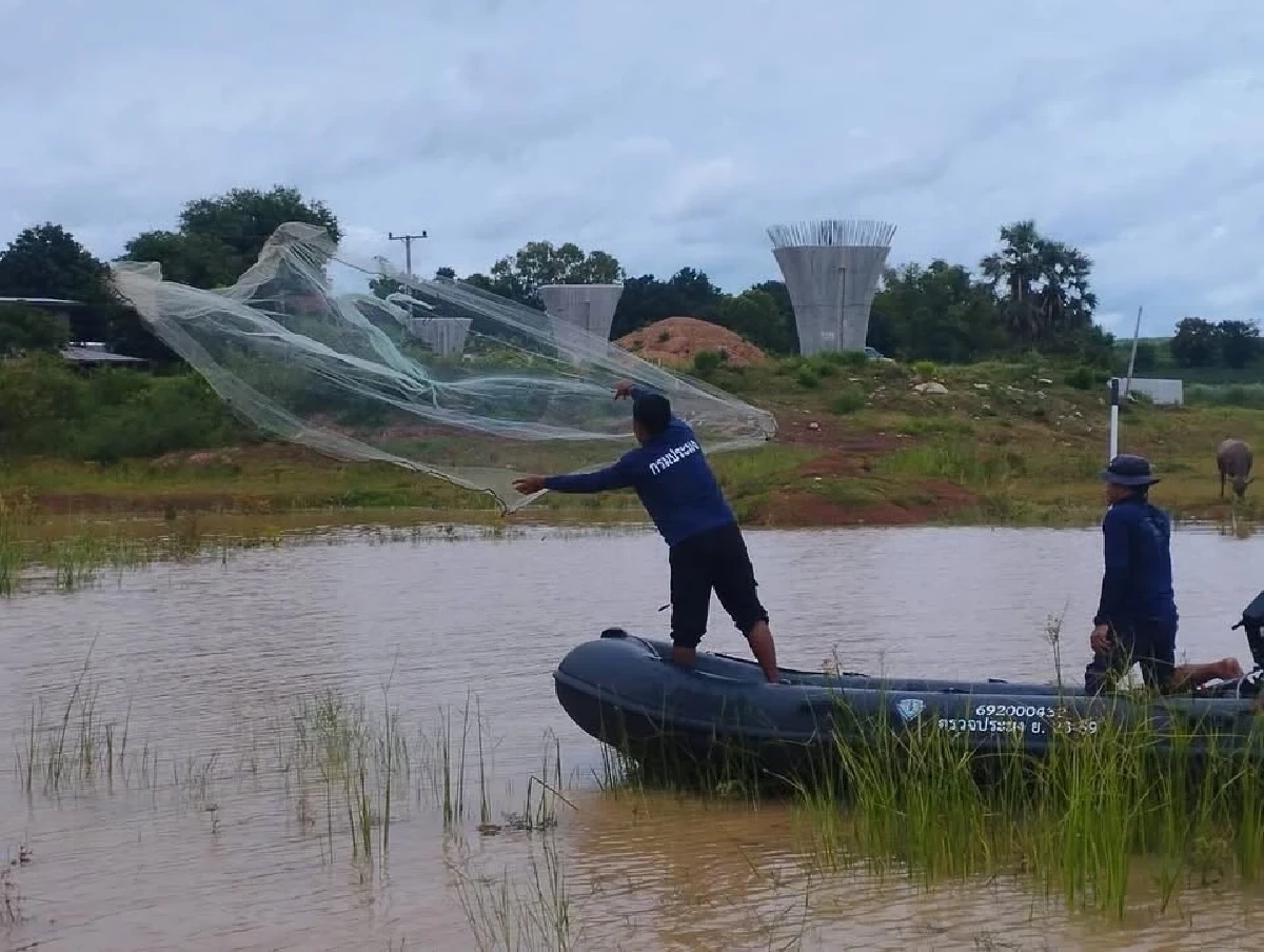 สั่งกรมประมง แก้ 'ปลาหมอคางดำระบาด' ใน 180 วัน ชี้! สมุทรสงคราม "เขตภัยพิบัติ"